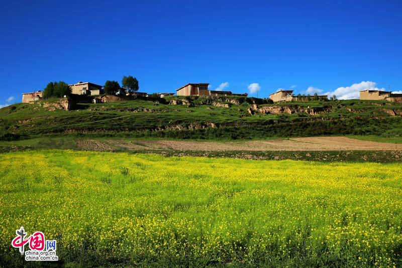 Le film ? Les trois Cordyceps ? raconte l'histoire du rêve d'un jeune enfant tibétain Le film ? Les trois Cordyceps ? raconte l'histoire du rêve d'un jeune enfant tibétain